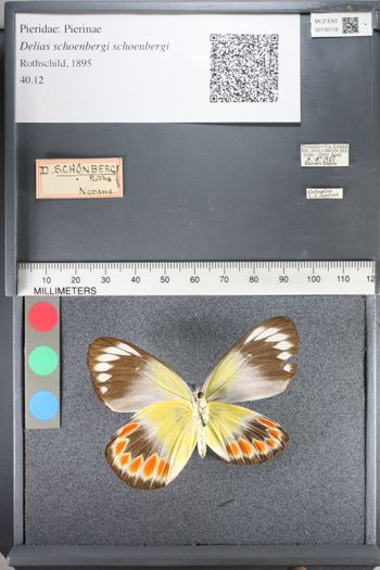 Media type: image;   Entomology 130118